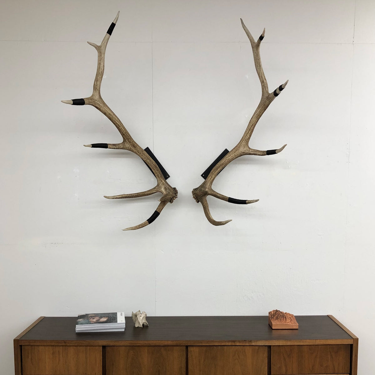 Elk Antler Wall Mounts