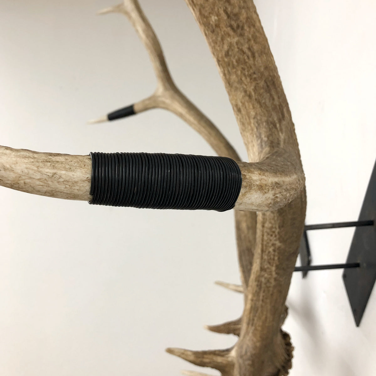 Elk Antler Wall Mounts
