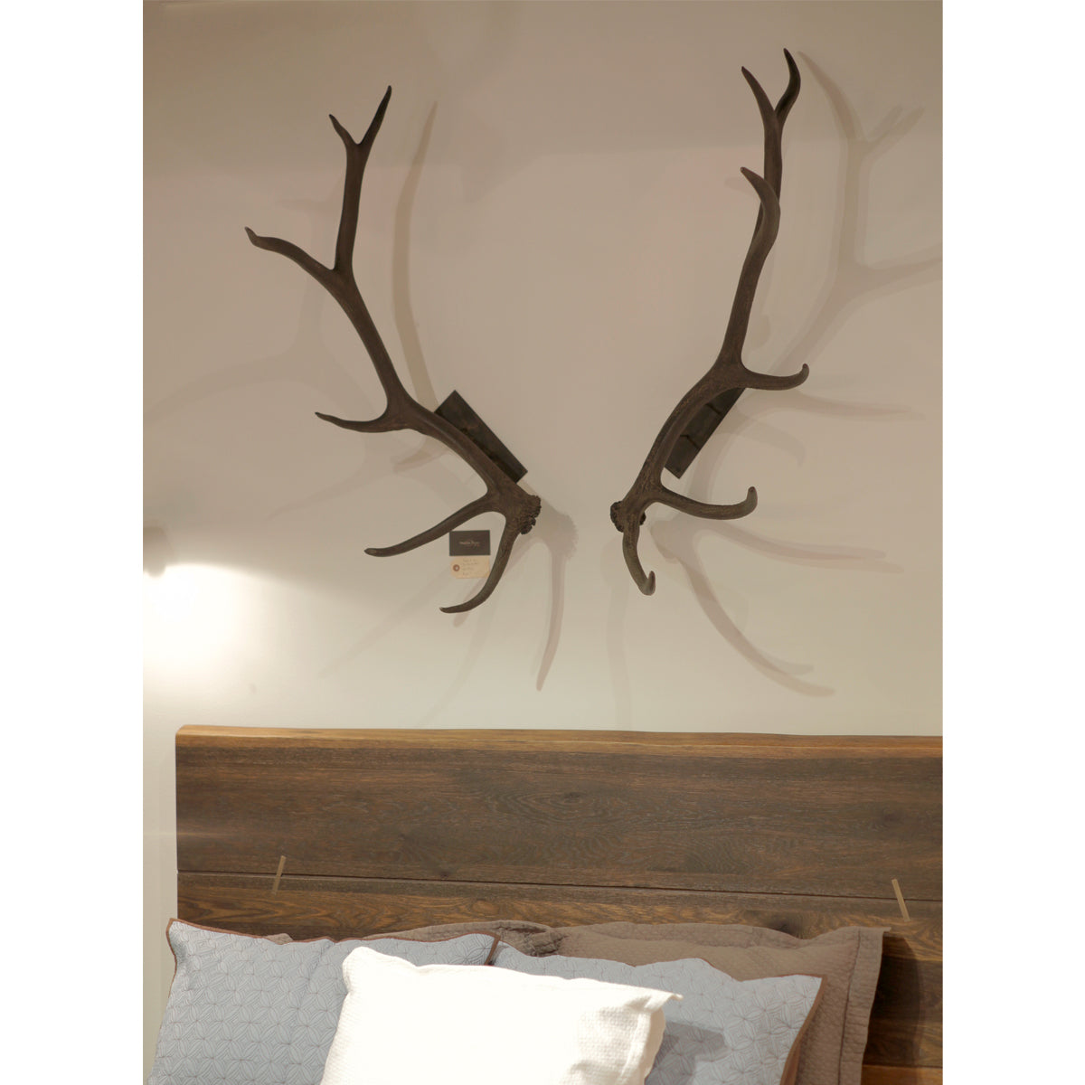 Elk Antler Wall Mounts