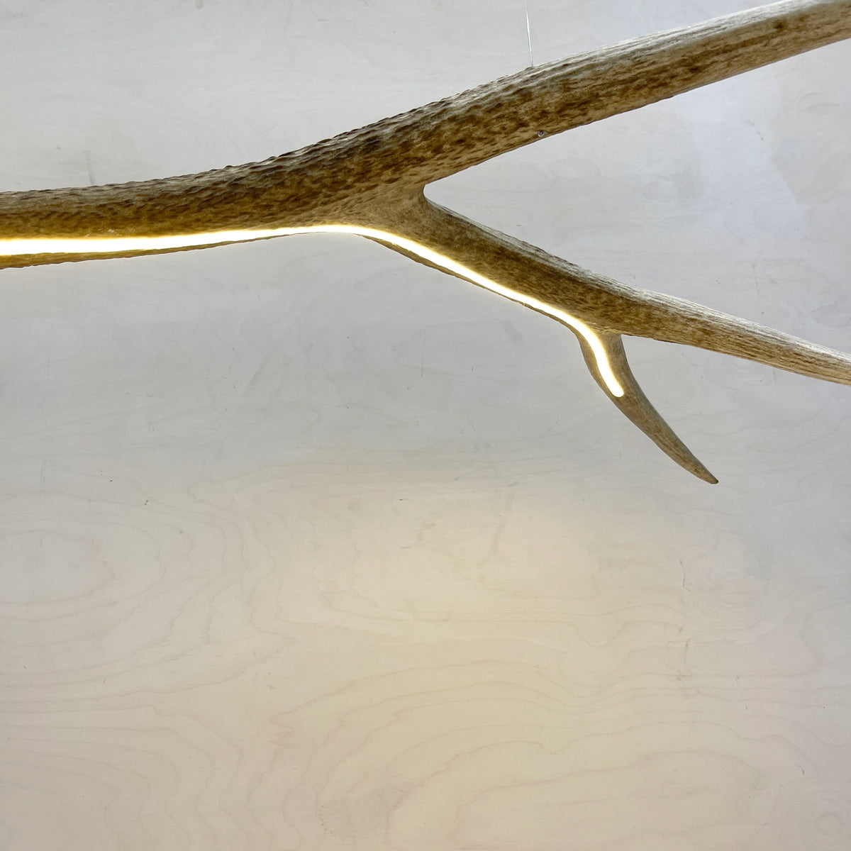 Elk Antler Linear Suspension - Natural