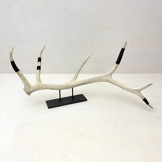 Elk Antler Sculpture