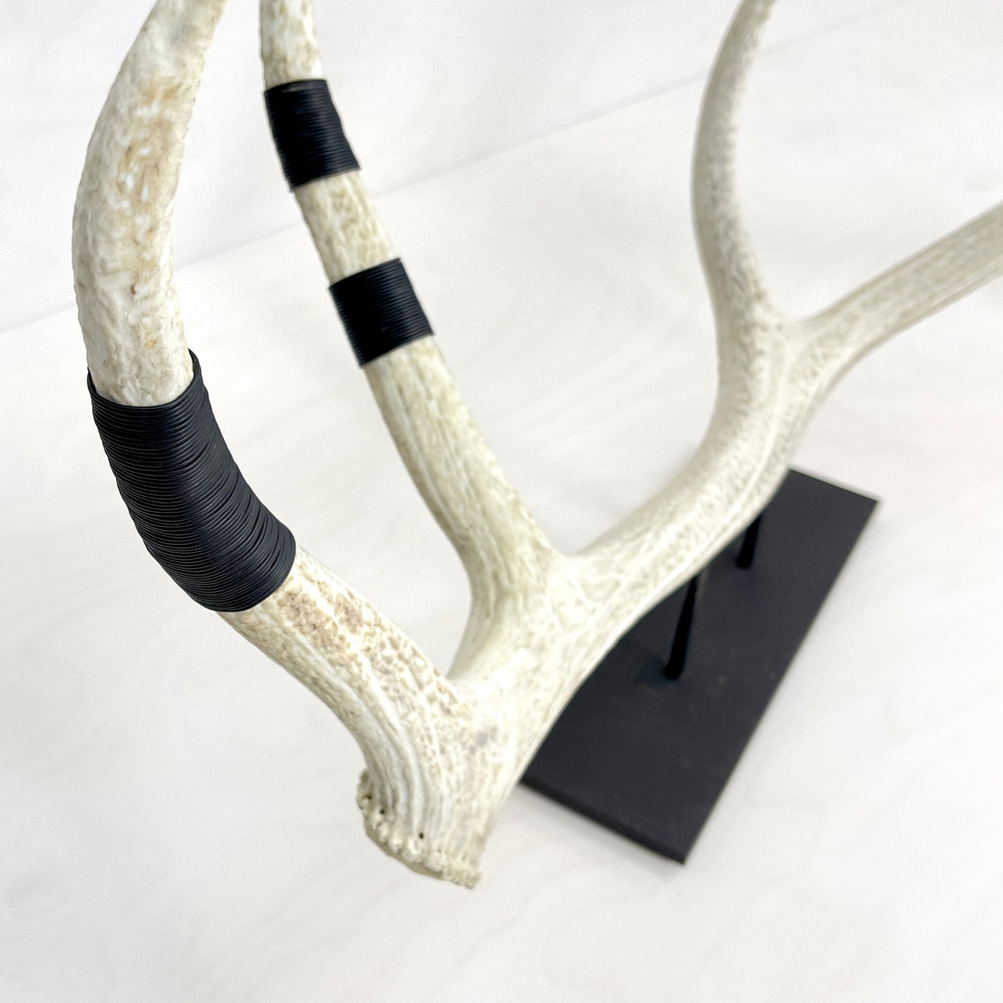 Elk Antler Sculpture
