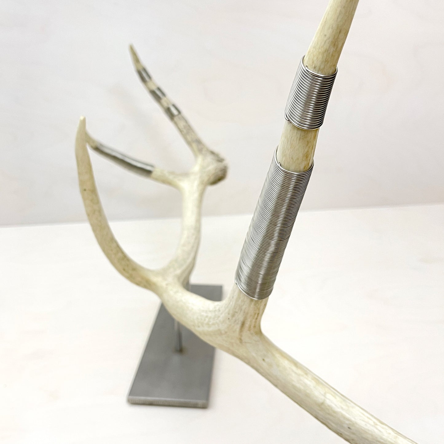 Elk Antler Sculpture