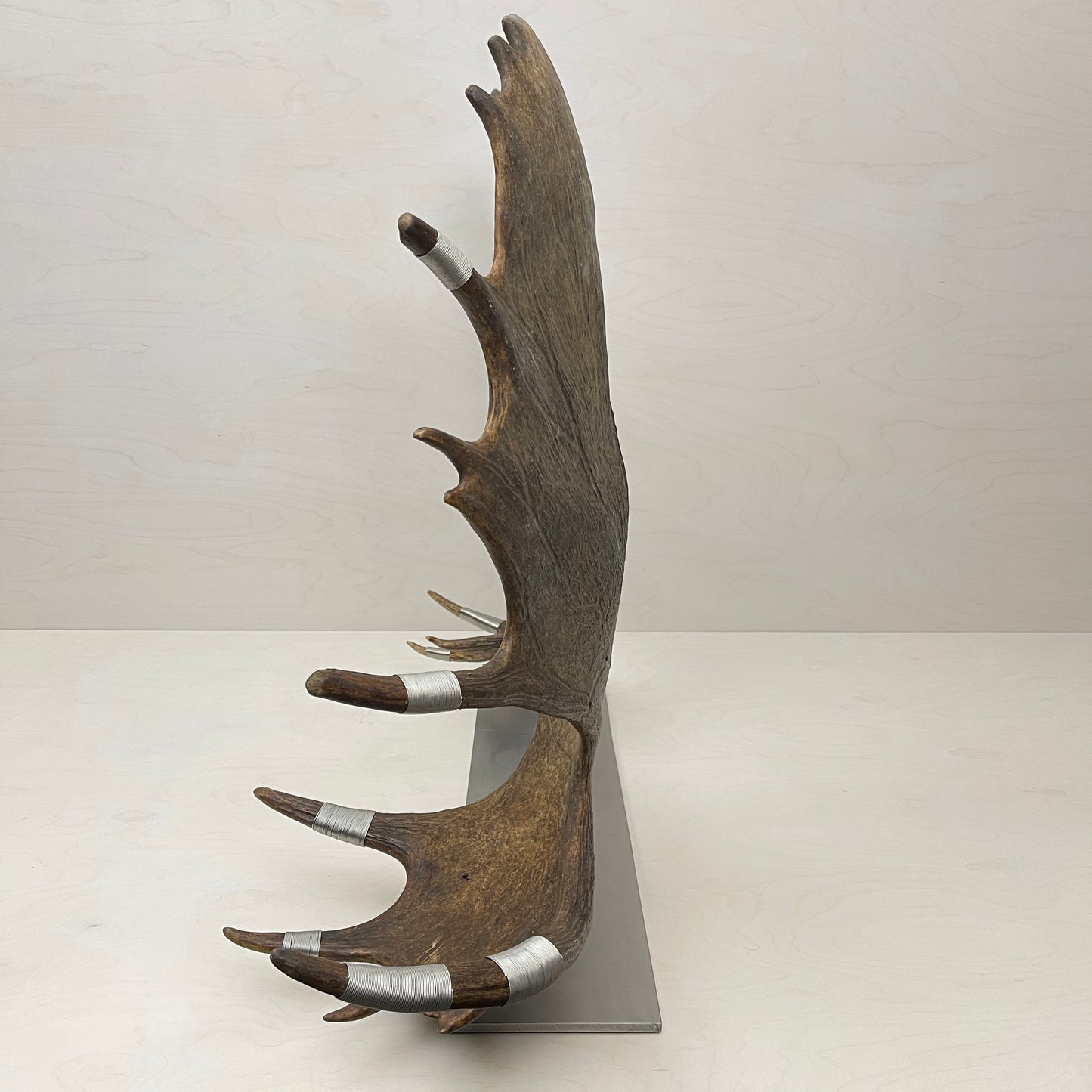 Moose Paddle Sculpture