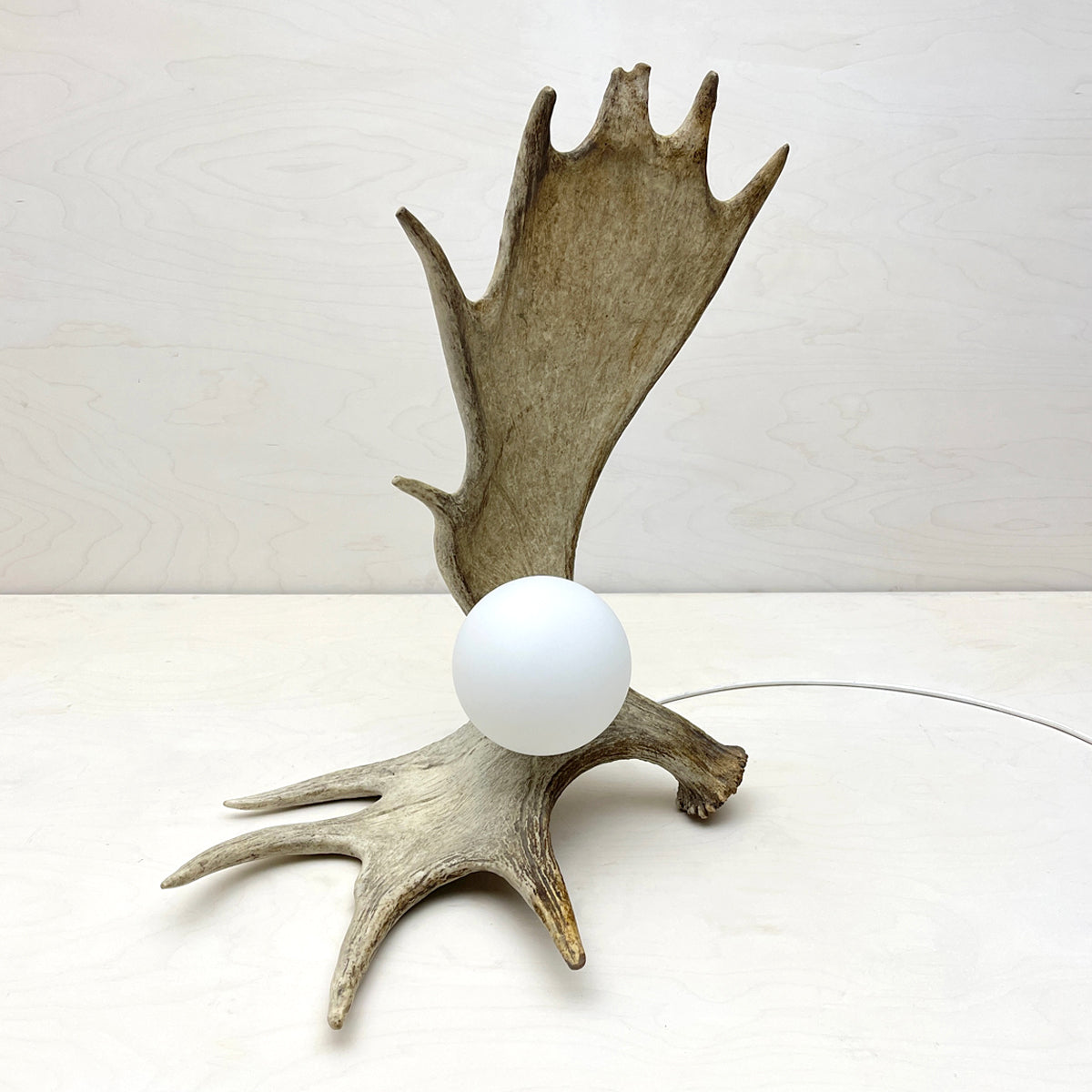 Moose Antler Lamp - Natural