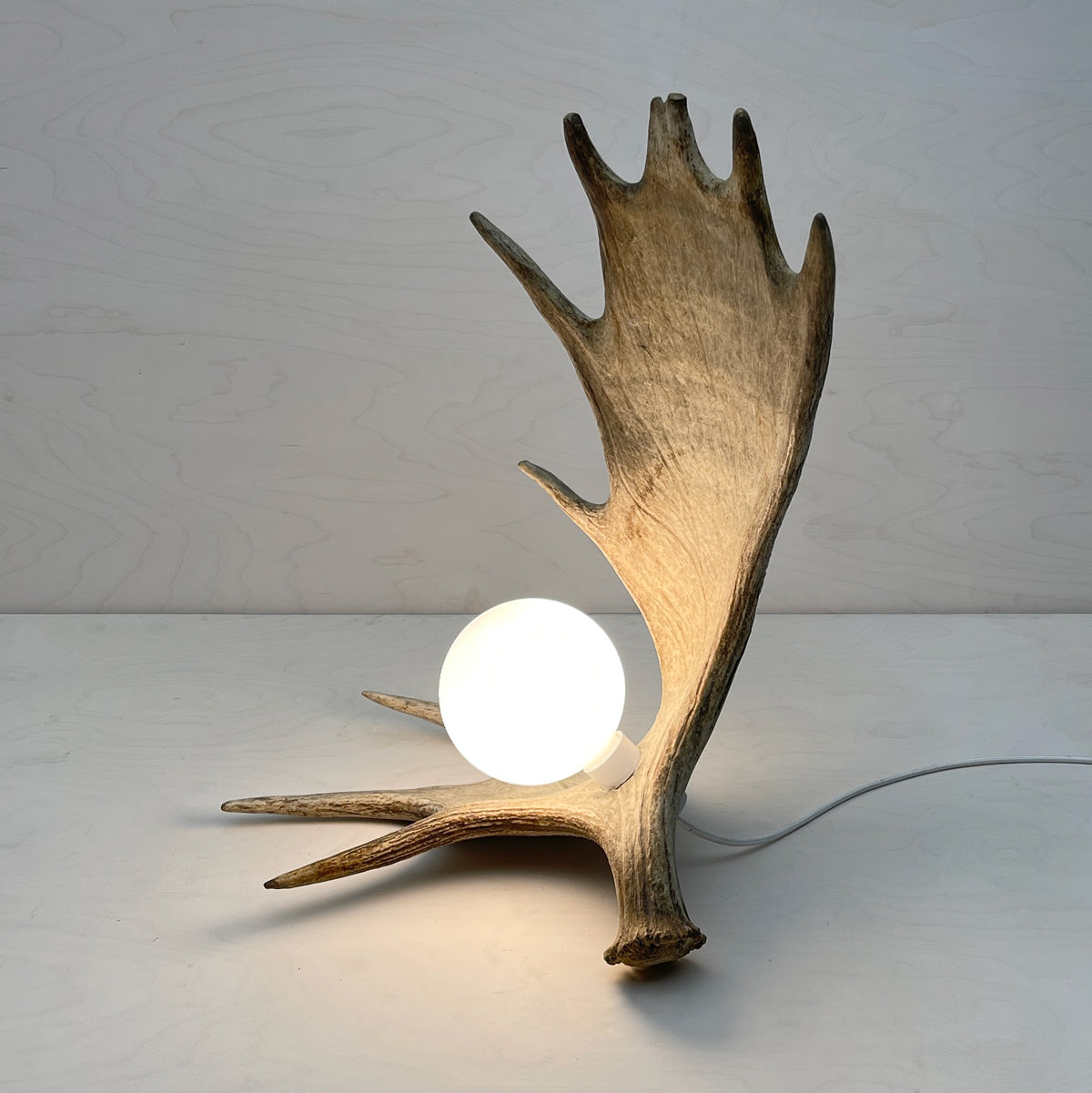 Moose Antler Lamp - Natural