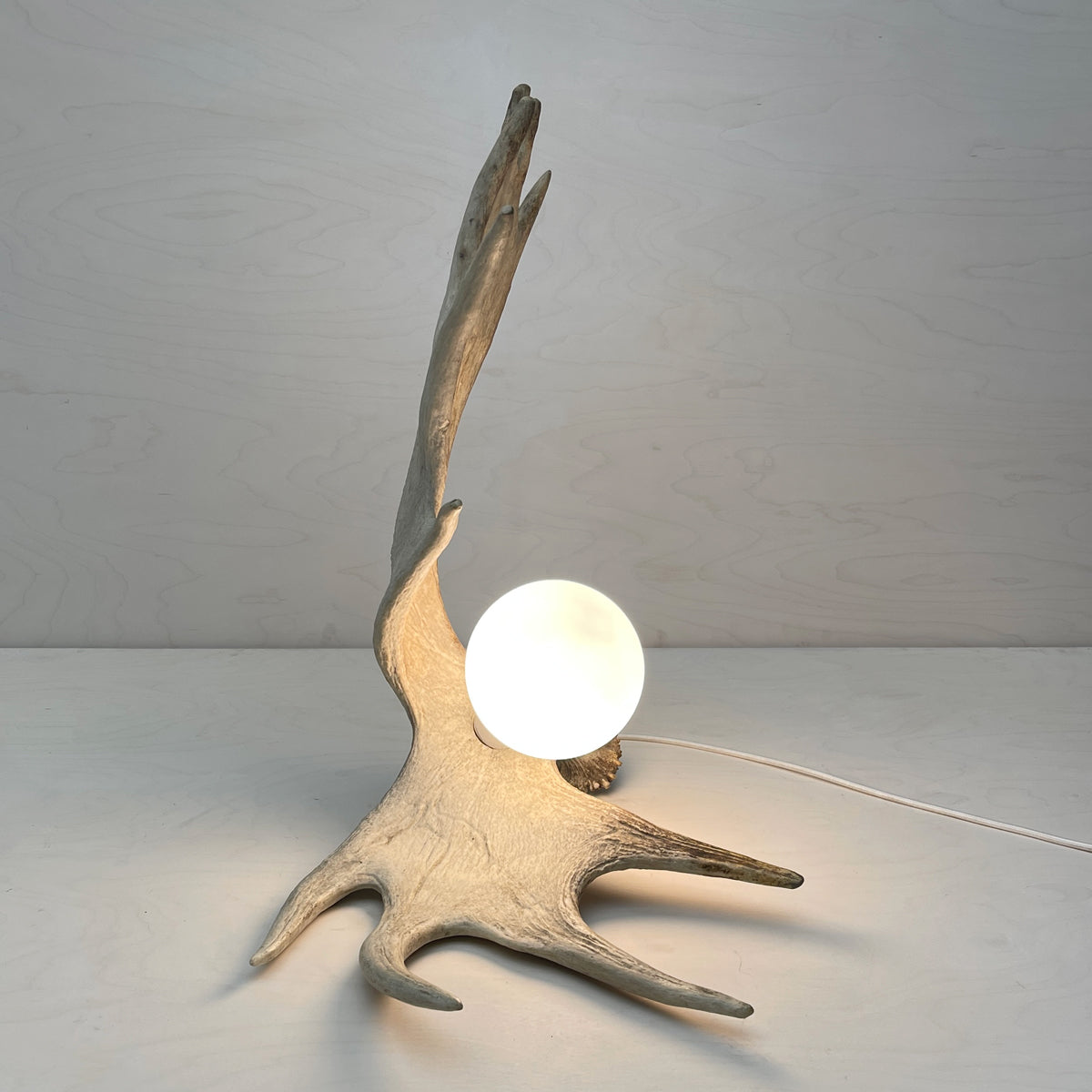 Moose Antler Lamp - Natural