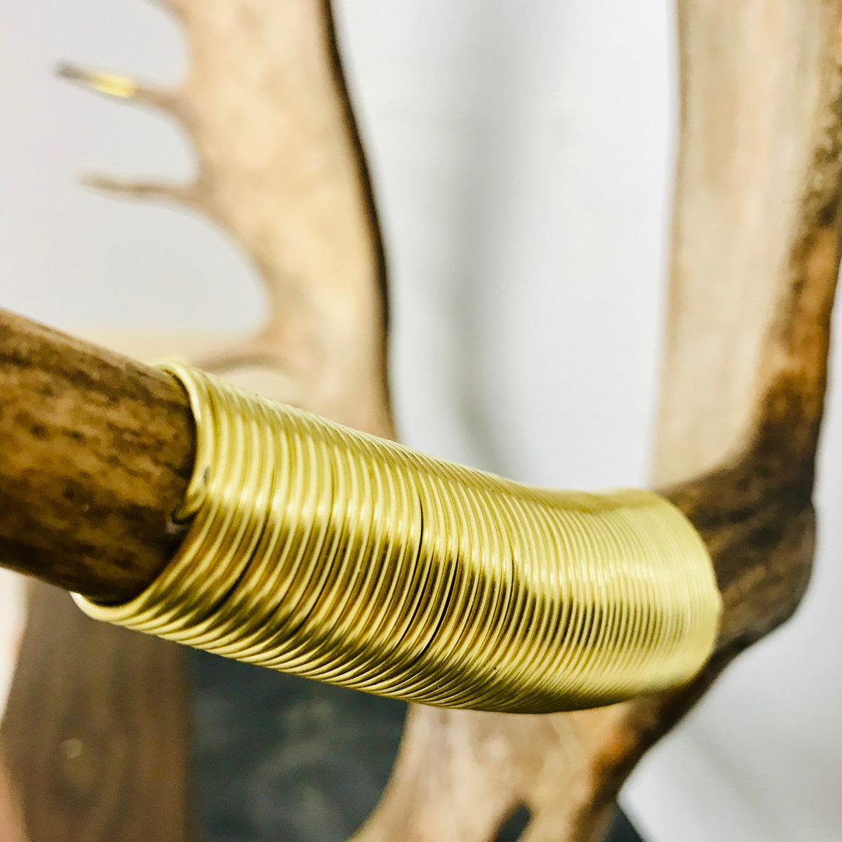 Elk Antler Wall Mounts